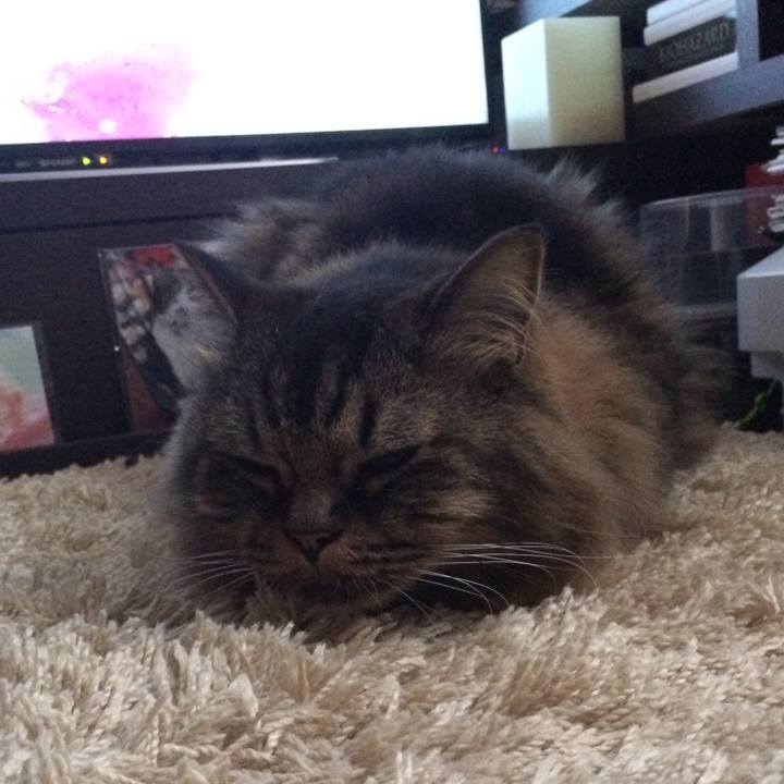 455b7e5a 86b7 4283 ad63 a2af7312a7de