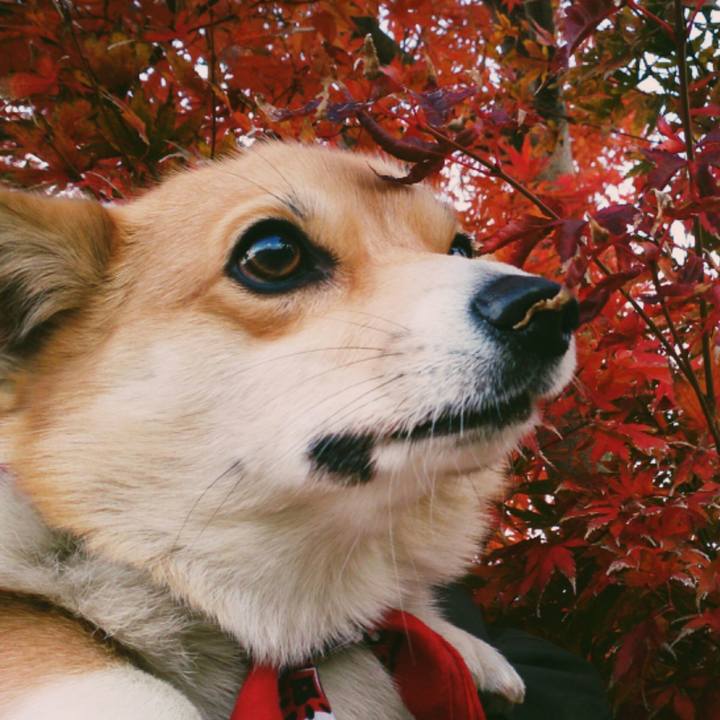 455b90f0 9f37 4487 99fc 29e379c4f834