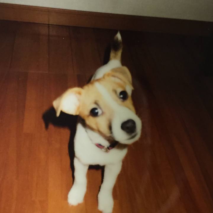 455bc457 6d7e 485e ab7a 56889a393e79