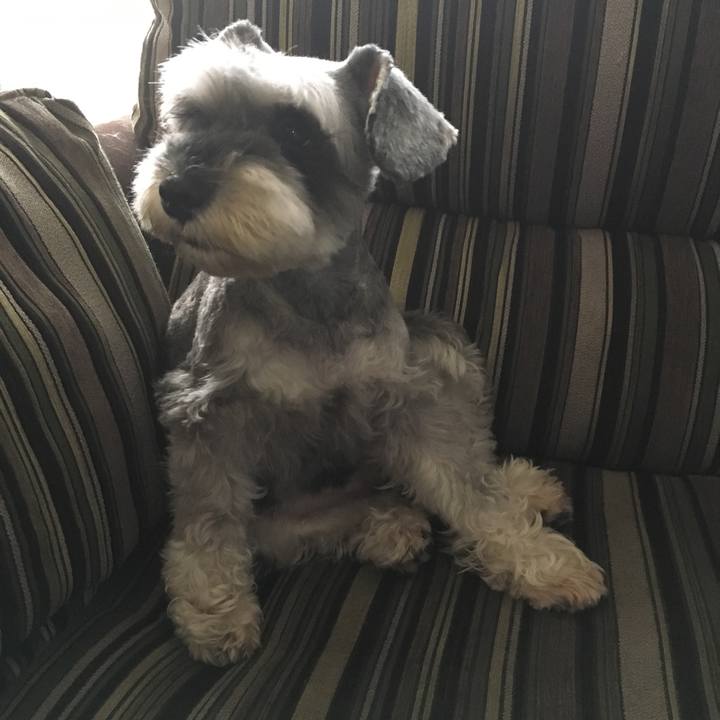 455bc4c6 ab84 4faf a2f7 b3d2da08086d