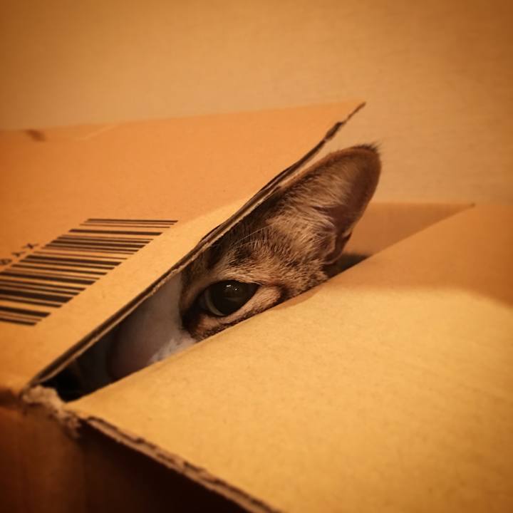 455bcd4e 0960 48b6 b609 ee2e0f398250