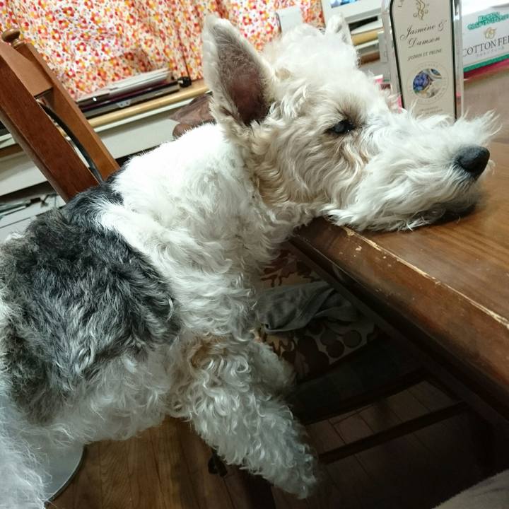 455c29be c3de 4c46 8173 041a6ea7af21