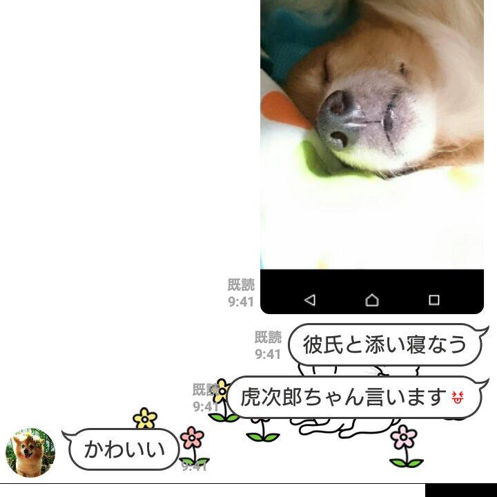 455c37c8 9819 4cc3 8a76 f412846210e6