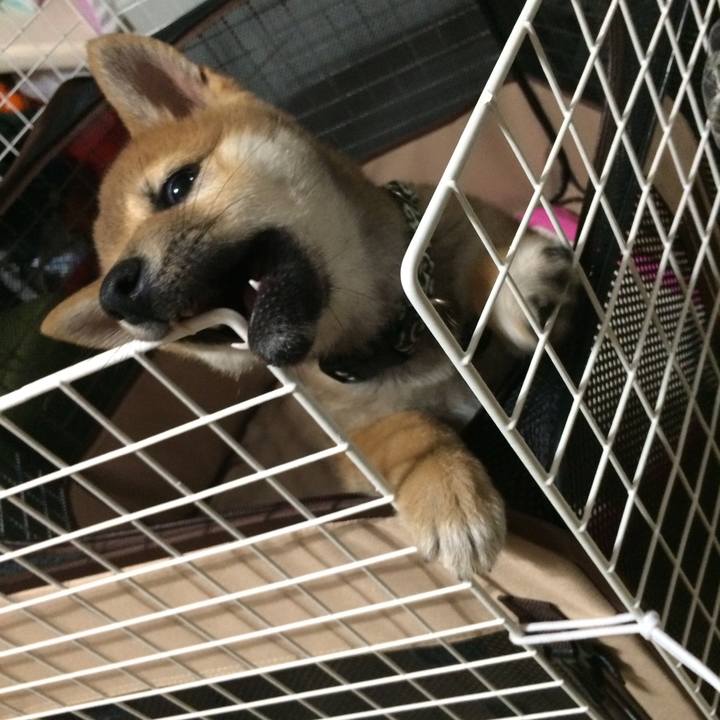 455d4c90 179b 412e bf8c d1b4e9fd7479