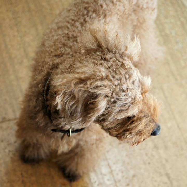 455d877b 5475 4efe a663 32d08390f756