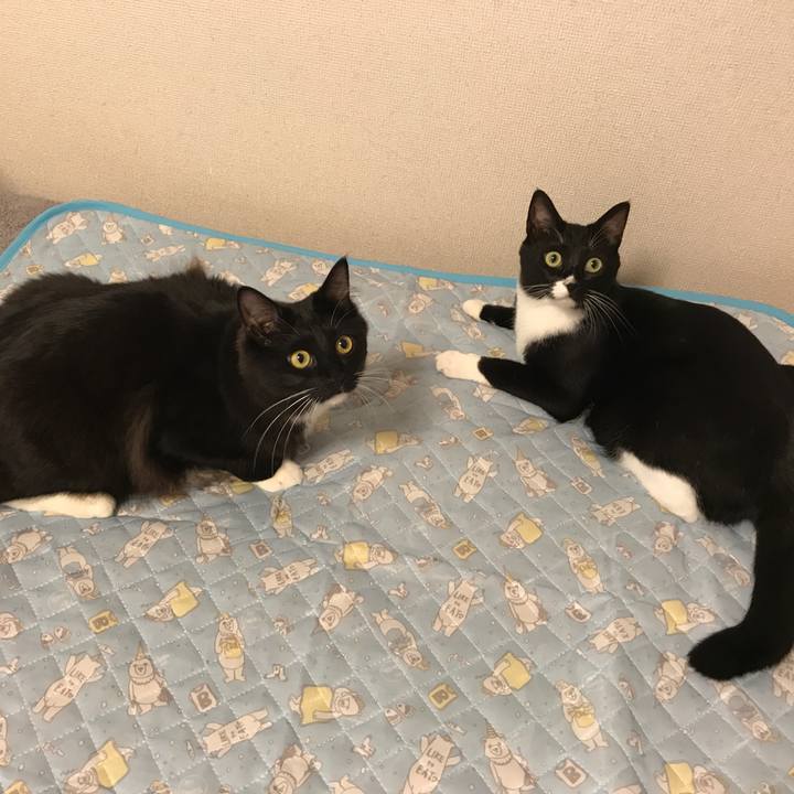 455db043 4de7 45ab b61d 7b87e90a7e03