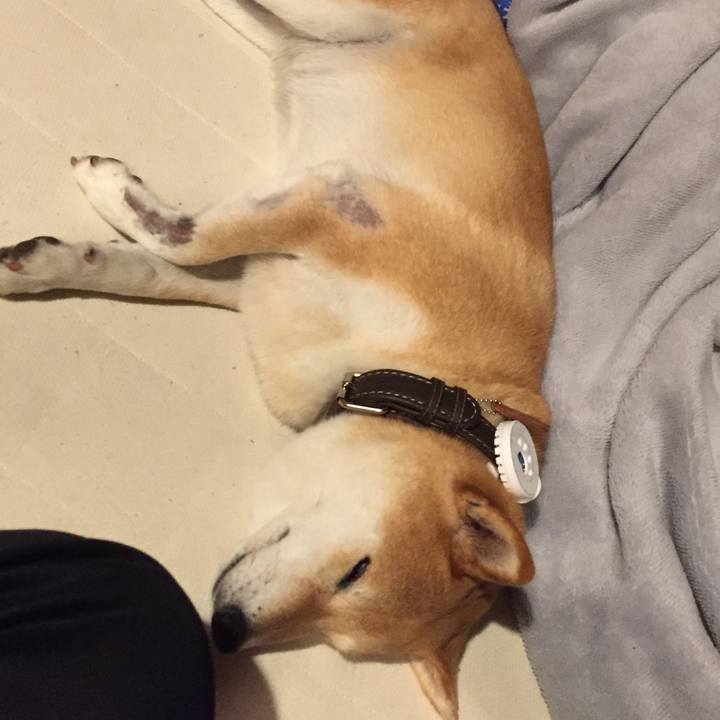 455de6e2 9128 4572 895b 064dc3b60e1c