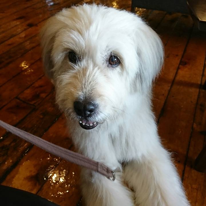 455e5f94 0ecb 4582 9bb4 951ba06a8ccf