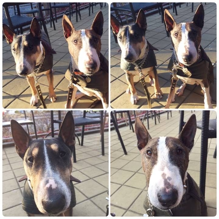 455eae21 a5e9 49af aa70 7c4a84a126d1