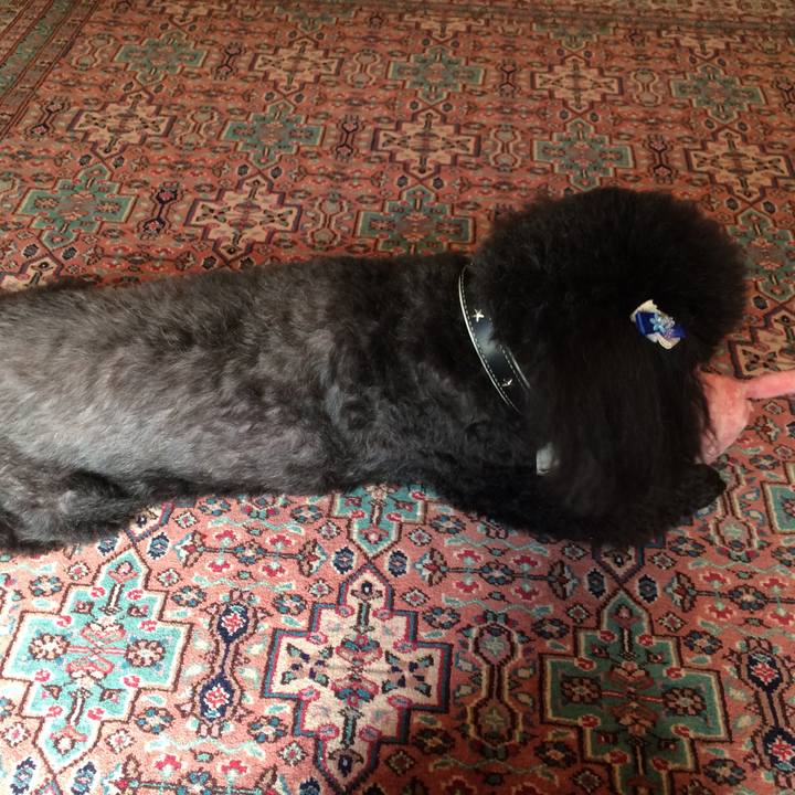 455f2e30 48e1 4b96 9dec 9bd45f90d931