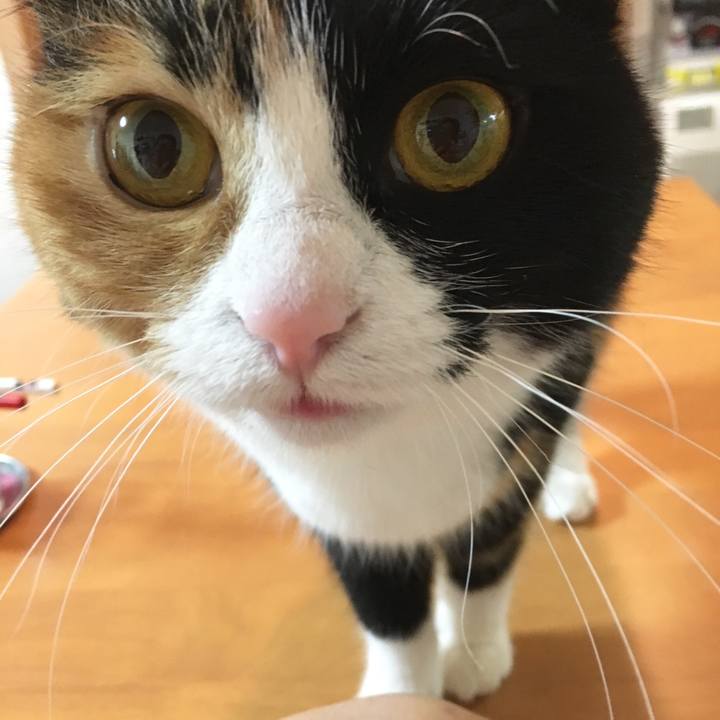 455f31f6 cc84 4ebf ae33 cafc2652507b