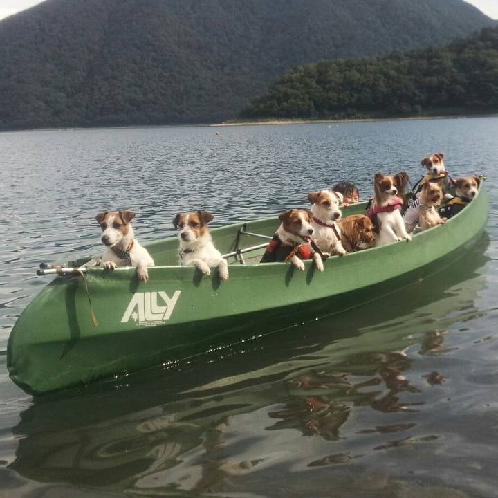 455fff9b 51d4 4cd1 a67e fd813fa305fd