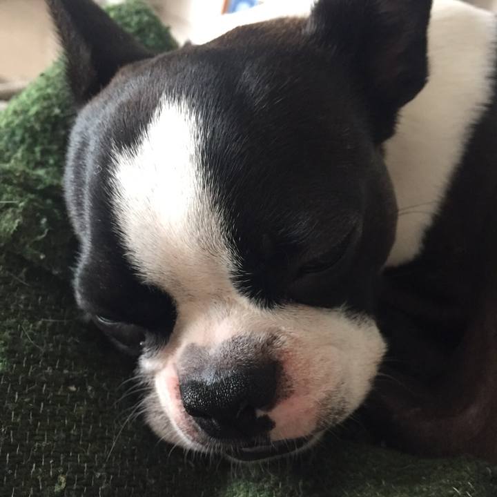 4560d1c7 16c0 4124 a240 c746c0b8e42f