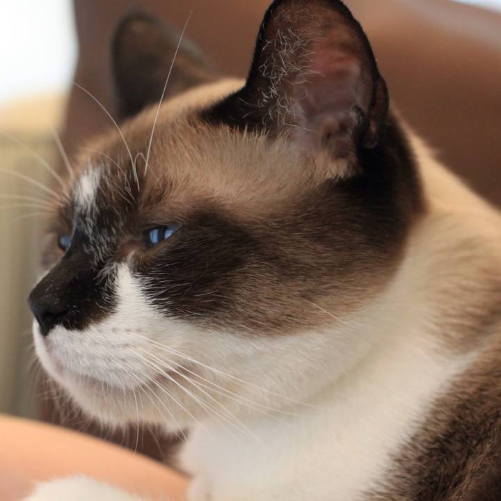 45610b22 ceb2 49af bacf ace78f7bb02b