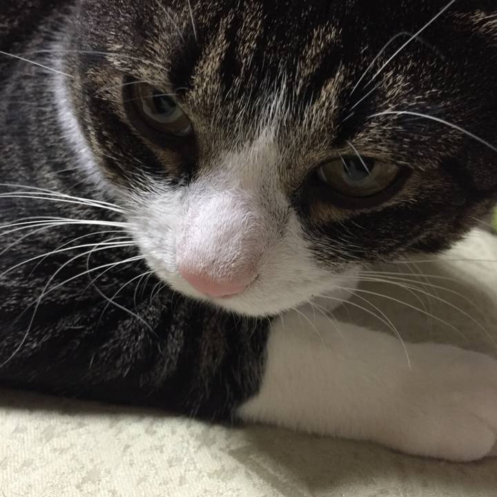 45613a49 bfc5 4196 9c5e a539e889615d