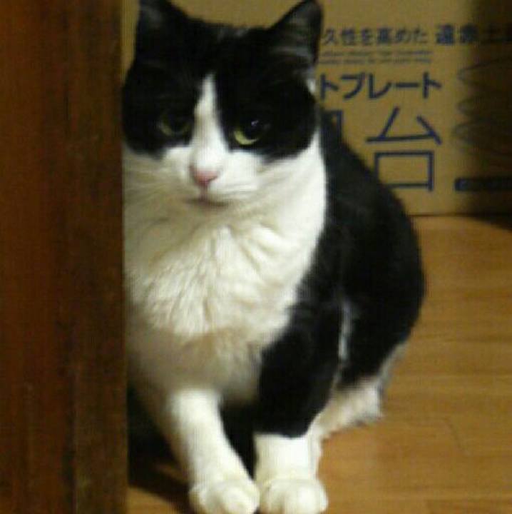 4561a002 ce41 446d 8885 e81b8172d111