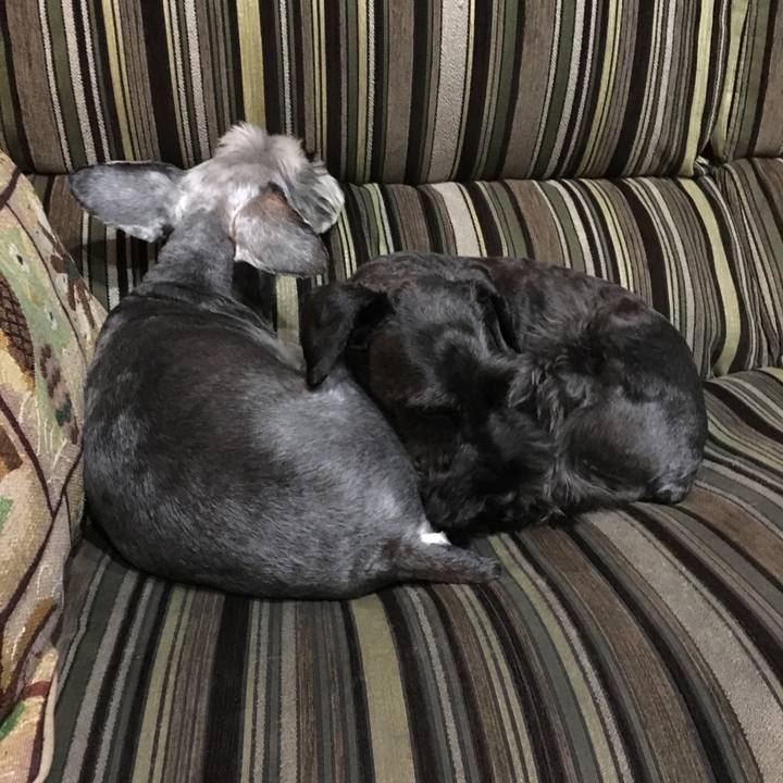 4561f78f 3f71 4b24 9e77 8d857bdbb8be