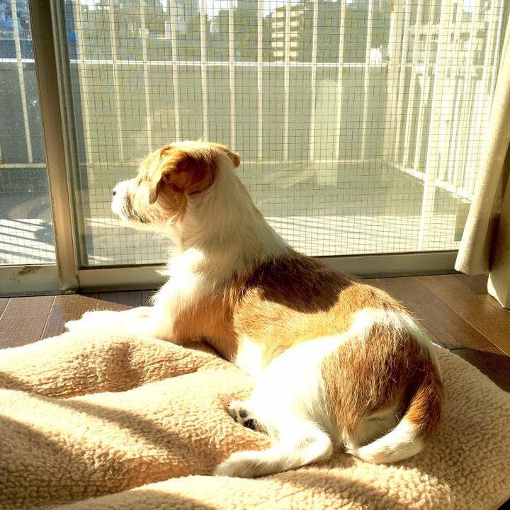 4562173c d0e1 47f0 96af 1acdfc7912c2