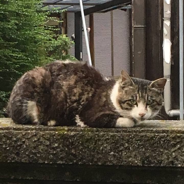 45625cc6 e211 4181 adcd 2e1718b08341