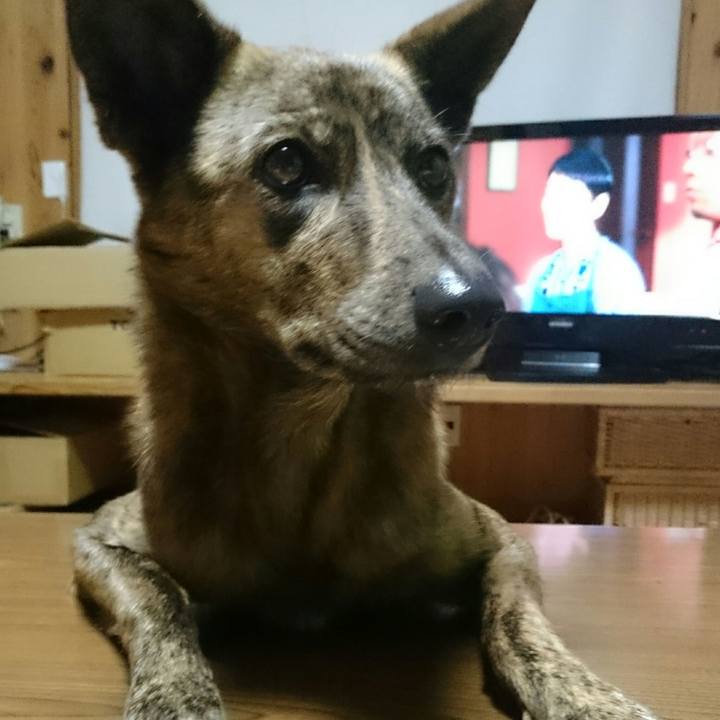 4562f7aa 1d58 4ef6 9be3 28c600755046