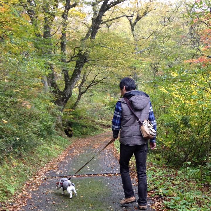 4563808d 13c4 491e 9c84 1f79da5a178b