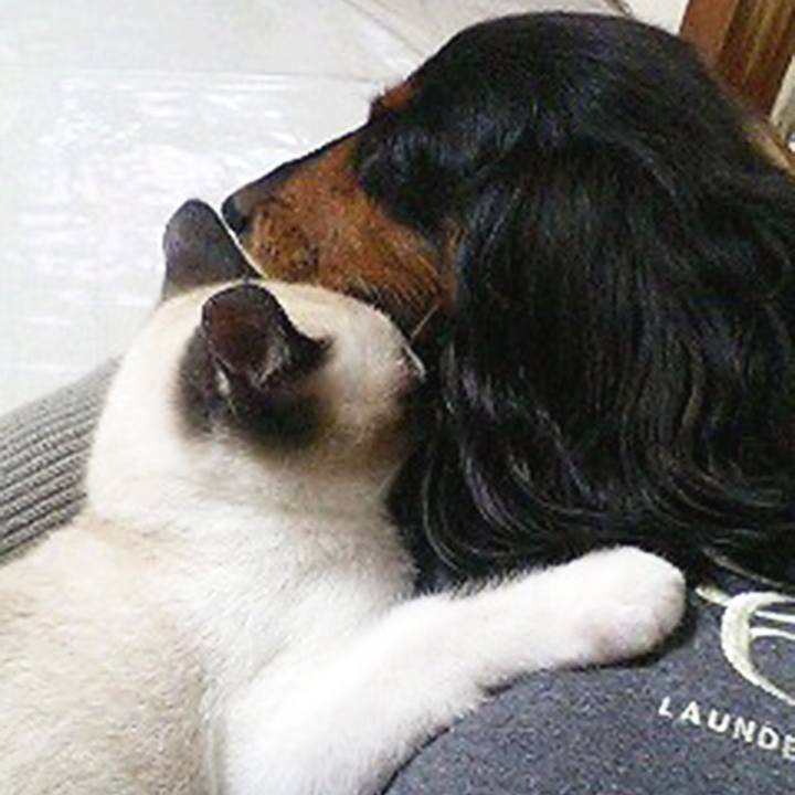 45640a05 add7 4aff bfeb b26ff0f69762