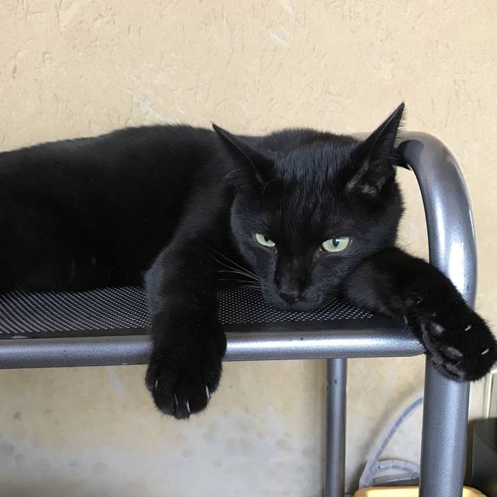 45643312 e3ce 47ac a5a0 2be2ebffd10d