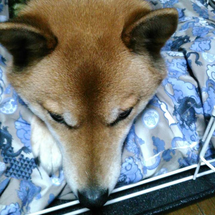 4565db4a ca70 4a57 8ffa 113729b52409