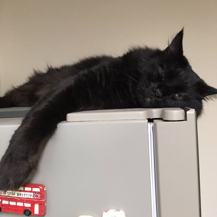 45662d7c ea96 460a 9f9b b68d69c2bfd2