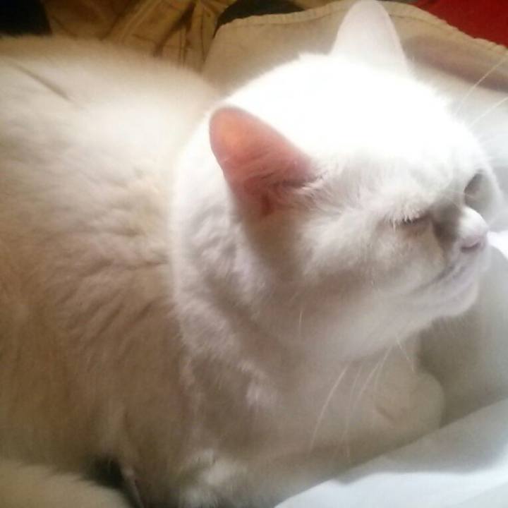 45663ebb b7e1 49b4 9e86 fe5e299b7bbb