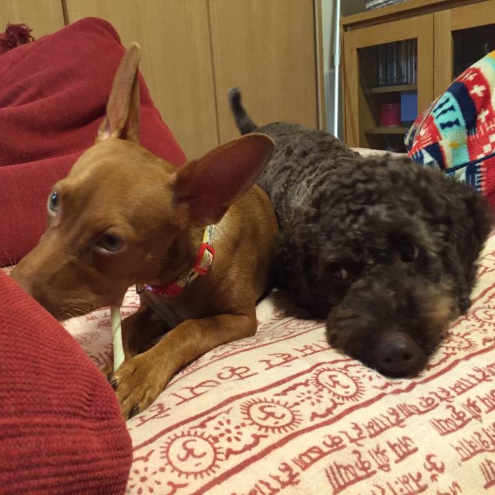 4566ef4a 11da 4734 b147 274b626f10f4