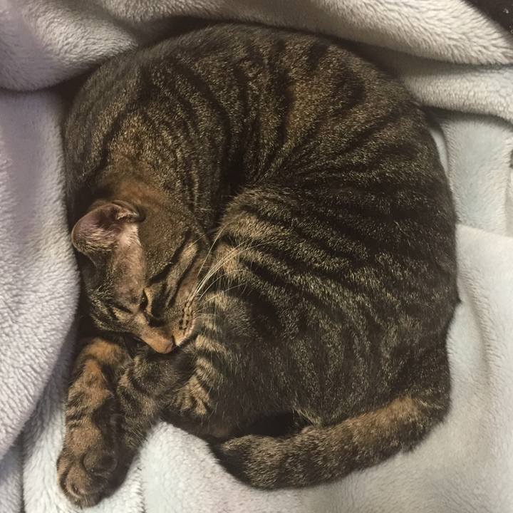 4566f193 5789 4e73 8fa5 a952d2a19f85