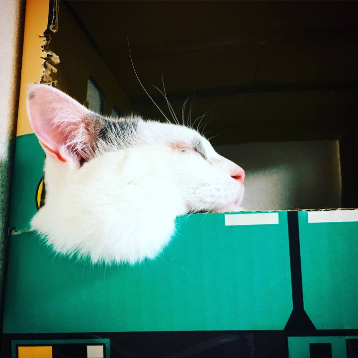 4567cf44 683e 428b b6c6 626857fc93d7