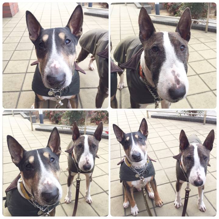 45683687 6402 487a 84fd 457a3c3c2e5b