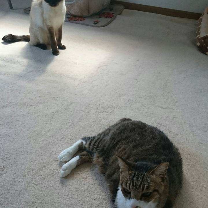 456898c0 c438 4ea5 bec3 9ead82f39402