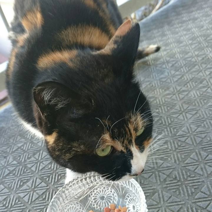 4568c7d9 e0dd 4b76 b9da c22970b97d1b