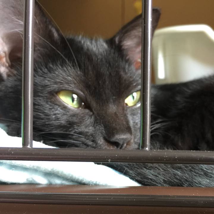 4568d3c6 fa88 433c 975e ce2ba975ccfd