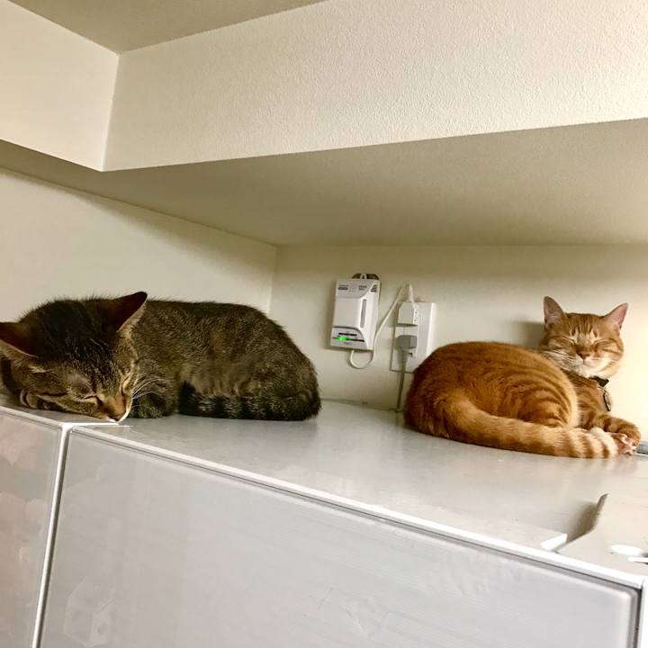 4568fe97 568d 462f b14c d8d4262cd129