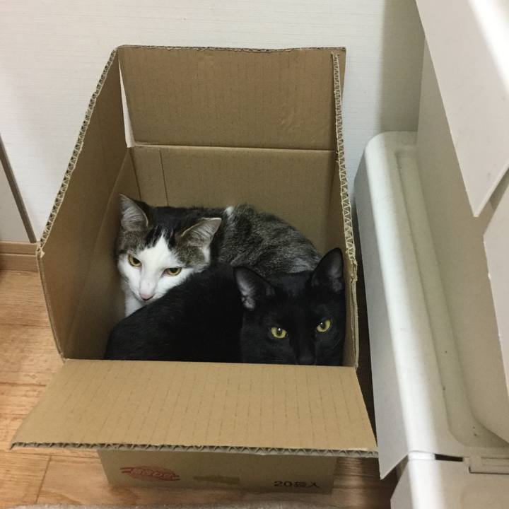 45694311 a97c 42d5 994c 06d134041aa8