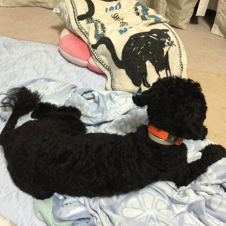 45695a03 b61a 4302 8899 09c756f7fc47