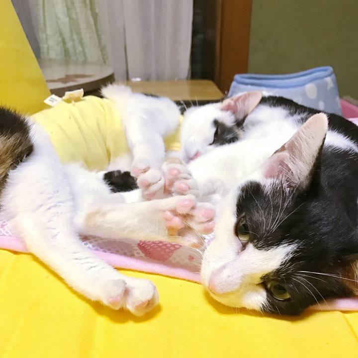 45697741 c7de 436b a8af c68938f9e5a8