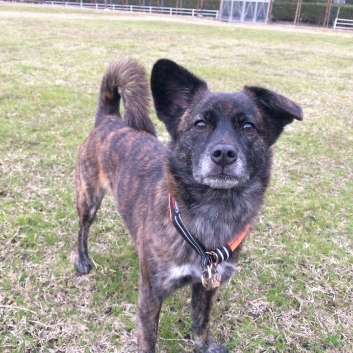 4569c721 171b 471f ab7f 3b2f0bef0e50