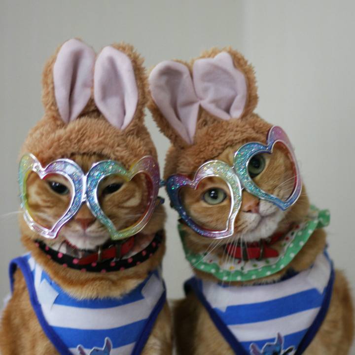 4569e0f5 72d3 44a0 824f 593d86edb731