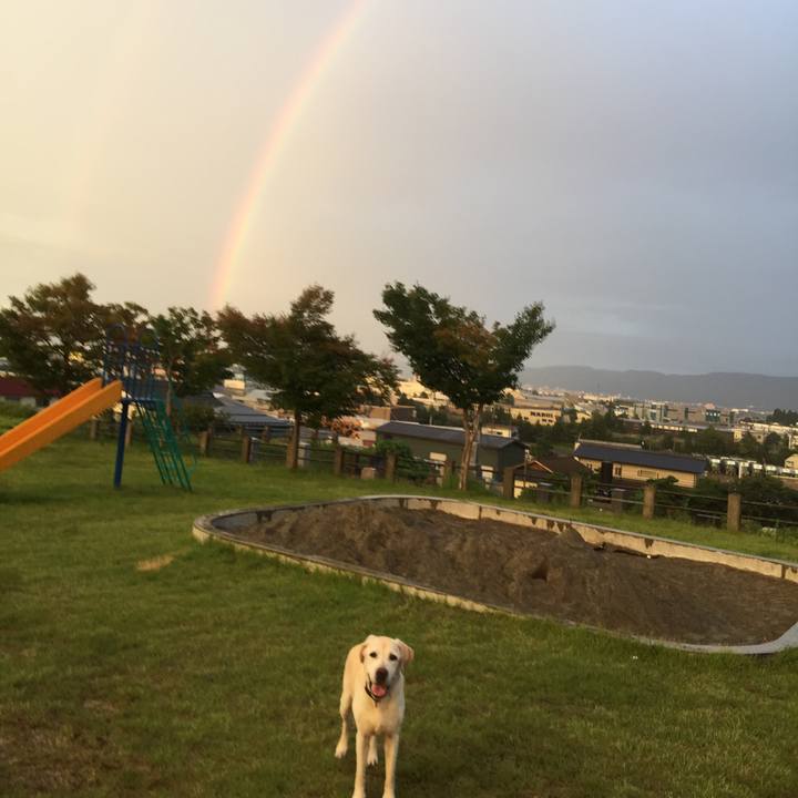 4569f3f1 34d8 42d0 9d28 0e237602afb4