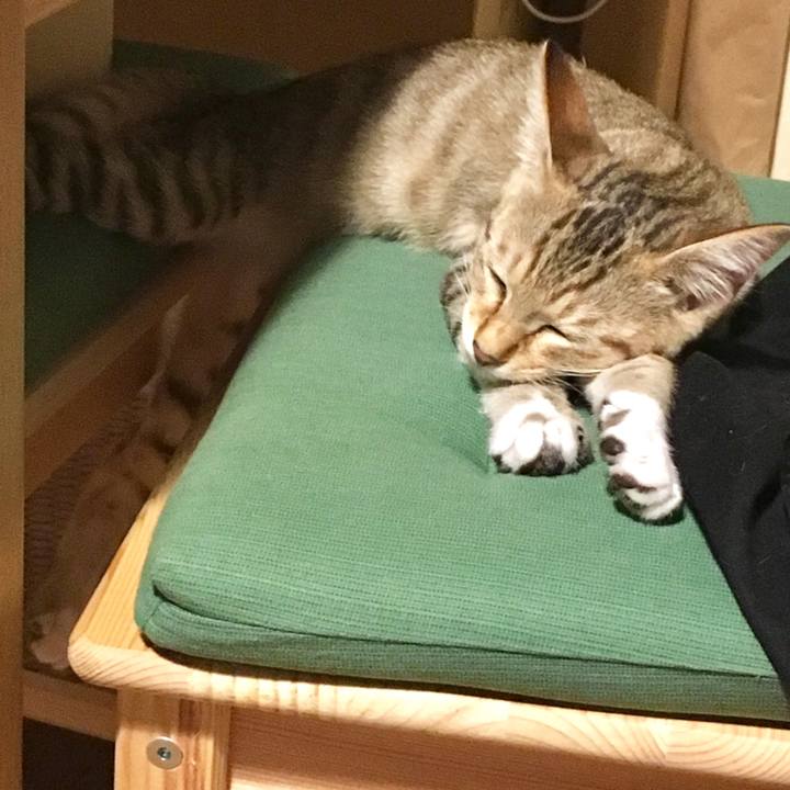 4569fc53 9620 45d5 bb63 3ad625d6fe18