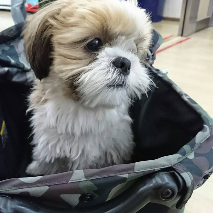 456a2735 d717 411d 96c5 a2bbde0fc988