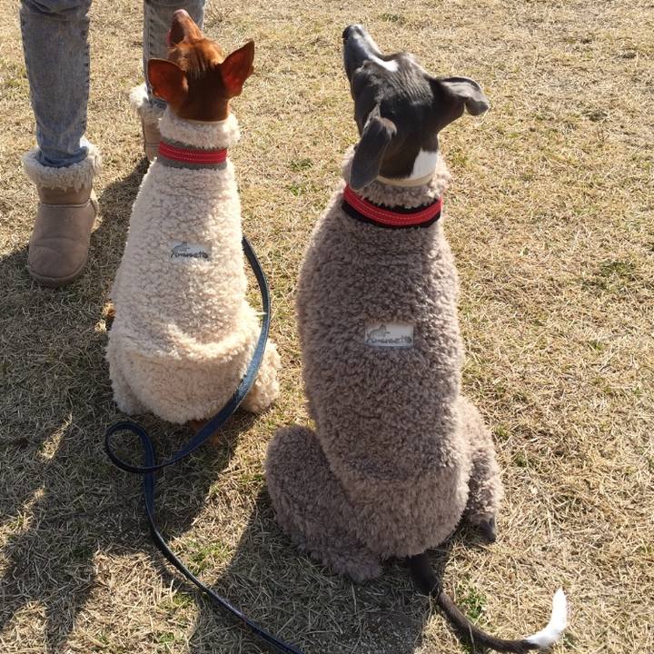 456a8b53 ddb4 48c3 be65 dc7bc021a64b