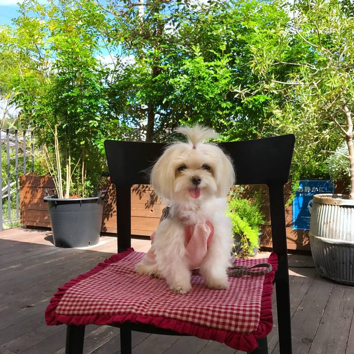 456b846e 342d 4354 896f 3c6e69d4afb4