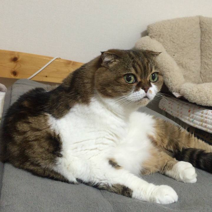 456ba282 c08c 455f ad4b 0f663ca7c738