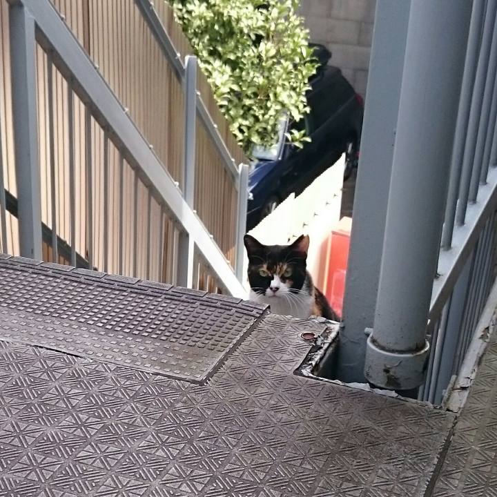 456bced0 dd67 4acf a17b 8e2e9c47911d